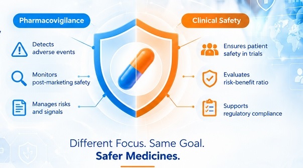Pharmacovigilance vs Clinical Safet..