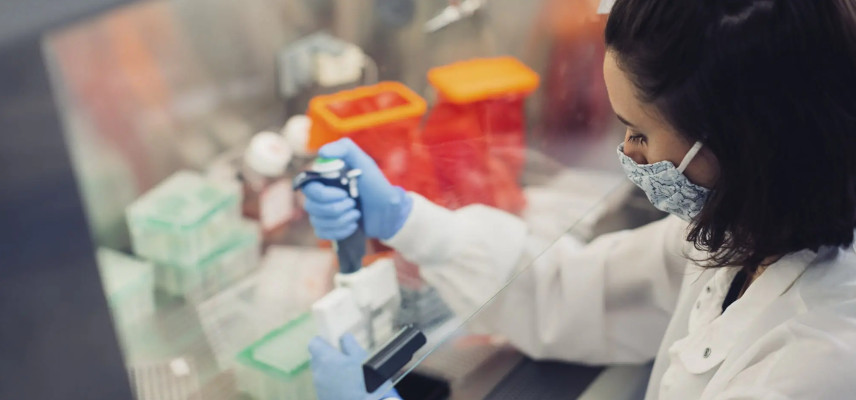 BioCity Biopharma CD3/EGFR Bispecific Antibody Granted FDA Clearance for IND Application