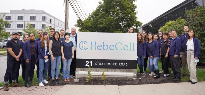 HebeCell and Logomix Announce Collaboration for the Development of Next Gen Genomically Engineered PSC-NK Cells