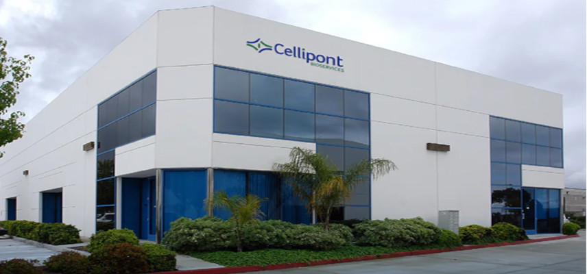 Cellipont Bioservices and Diakonos Oncology Corporation Collaborate to Develop Groundbreaking Therapy for Glioblastoma