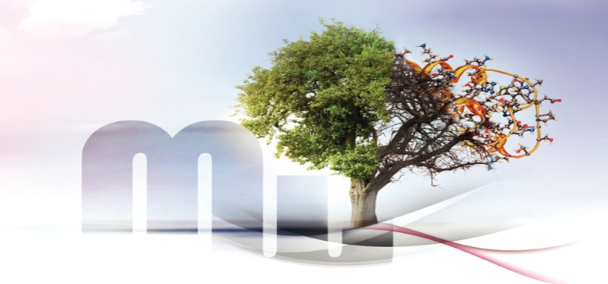 MediWound partners with 3M Health Care on EscharEx phase III study for patients with venous leg ulcers