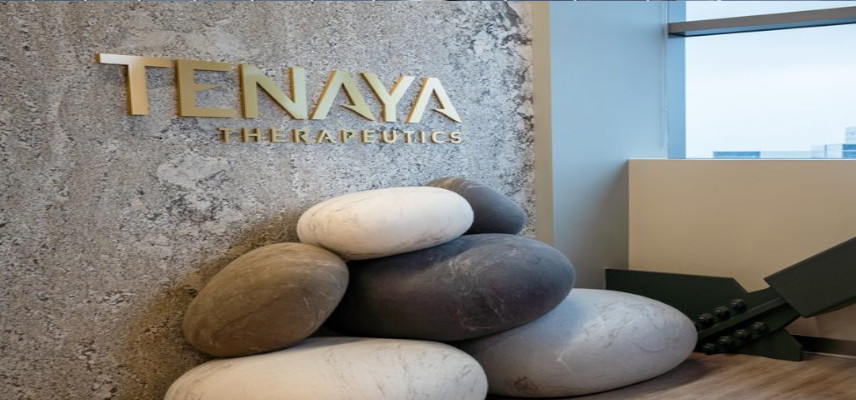 Tenaya Therapeutics gets US-FDA clearance to initiate clinical testing of TN-401 gene therapy to treat PKP2-associated ARVC
