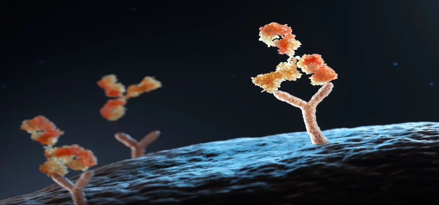 Halozyme, Acumen Pharma ink global collaboration and license agreement to develop subcutaneous formulation of ACU193 with Enhanze technology in AD