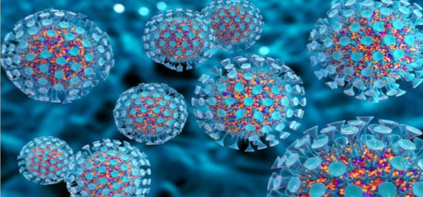 Toragen reports positive safety data update from Cohort 2 of its phase 1 clinical trial of TGN-S11