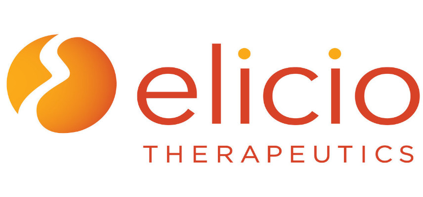 Elicio Therapeutics begins patient dosing in randomized phase 2 pancreatic cancer study