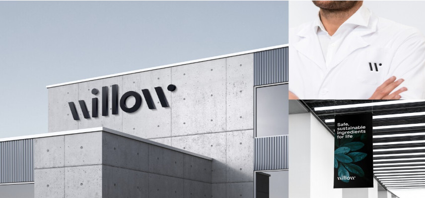 Willow and Enterin Collaborate to Develop Sustainable Intermediates and Active Pharmaceutical Ingredients (APIs)
