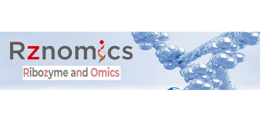 Rznomics Inc Secures Orphan Drug Designation from FDA for RZ-001 in Hepatocellular Carcinoma