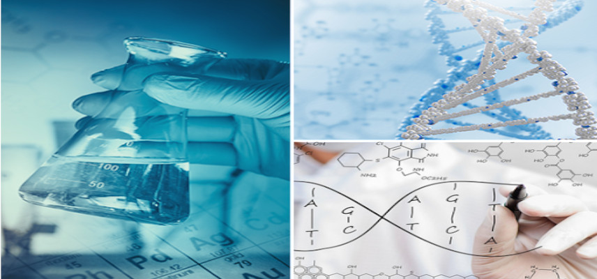 Technoderma Medicines Phase 2 Clinical Trial