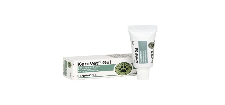 KeraVet Bio Partners with WellHaven Pet Health and Pet Peace of Mind