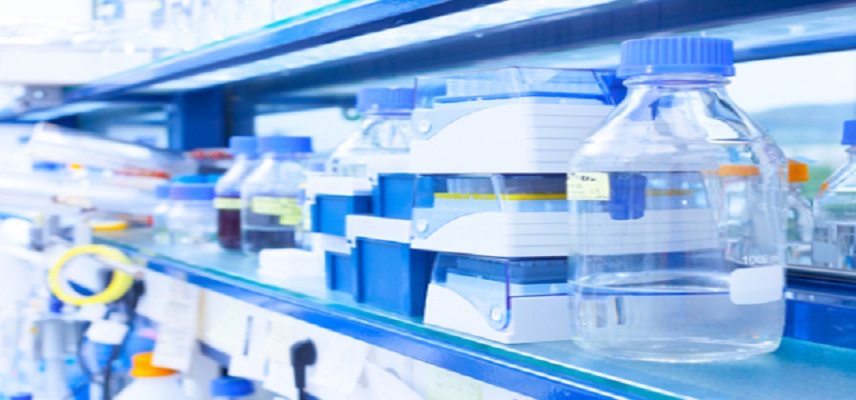 SCG Cell Therapy Gets US FDA Nod to initiate Phase 1/2 trial for SCG142
