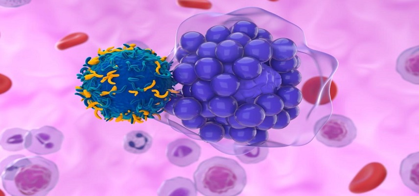China NMPA Approves Antengene’s Xpovio as Monotherapy