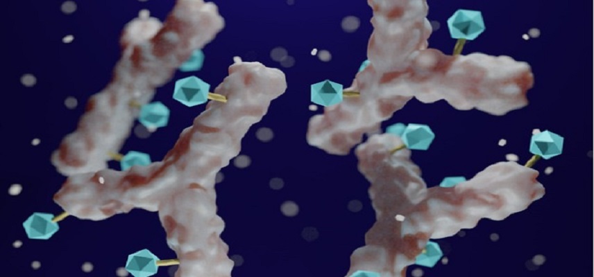 ADM Korea Launches First Clinical Trial of Niclosamide-Based Anticancer Drug for Prostate Cancer