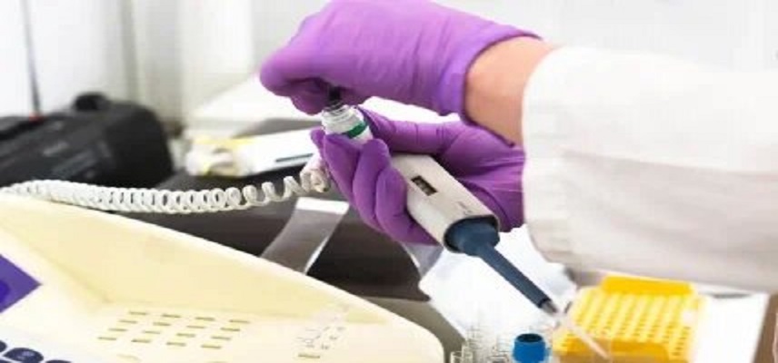 Nona Biosciences Enters Collaboration with Alaya.bio to Advance CAR-T Cell Therapy