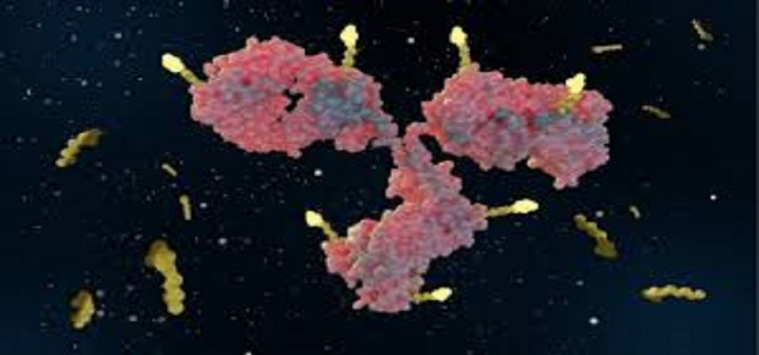 Darolutamide Meets Primary Endpoint in Phase III ARANOTE Trial