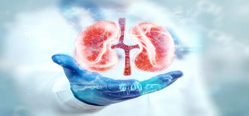 Everest Medicines Begins Dosing in China for Global Phase 2b Trial of Zetomipzomib