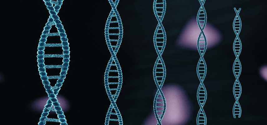 Ionis Pharma Announces Positive Results From HALOS Study Of ION582