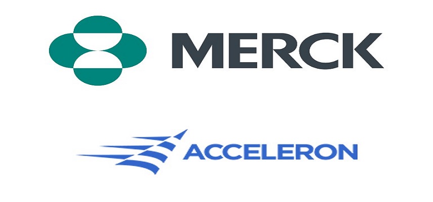 EMA Recommends Approval of Merck’s Keytruda Plus Padcev