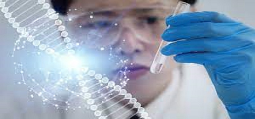 WestGene to Proceed to Clinical Trials After Obtaining Two IND Approvals