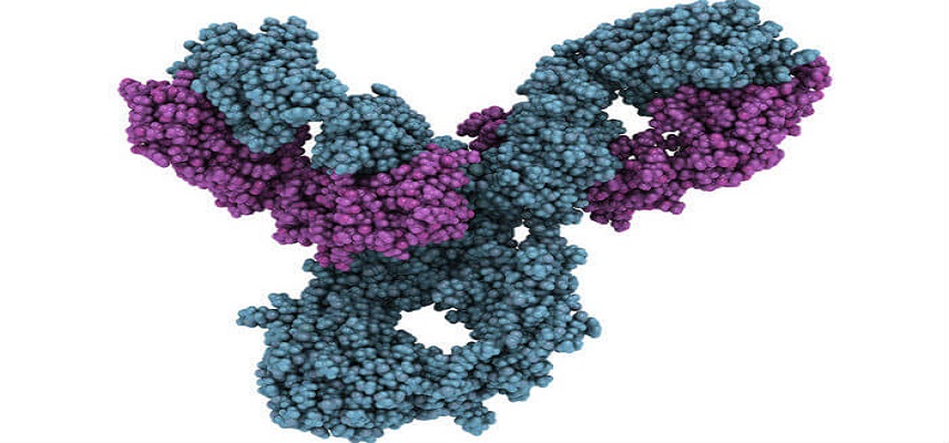 Merck to discontinue phase 3 KeyVibe-008 Trial for Vibostolimab and Pembrolizumab Combination