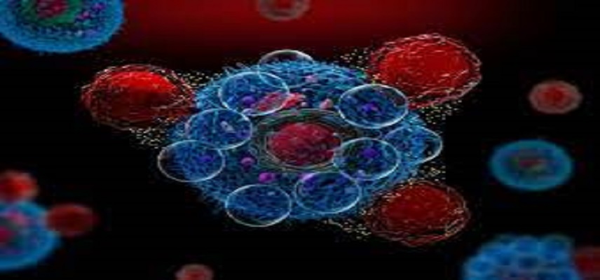 T-MAXIMUM PHARMACEUTICAL Unveils CAR-T Breakthrough for Solid Tumours