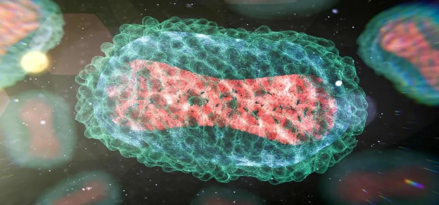 China's Sanyou Bio Launches Comprehensive Monkeypox Product Line