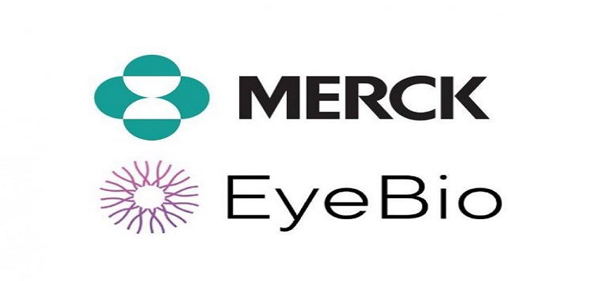 Merck, EyeBio Initiate Phase 2b/3 Trial for Restor...