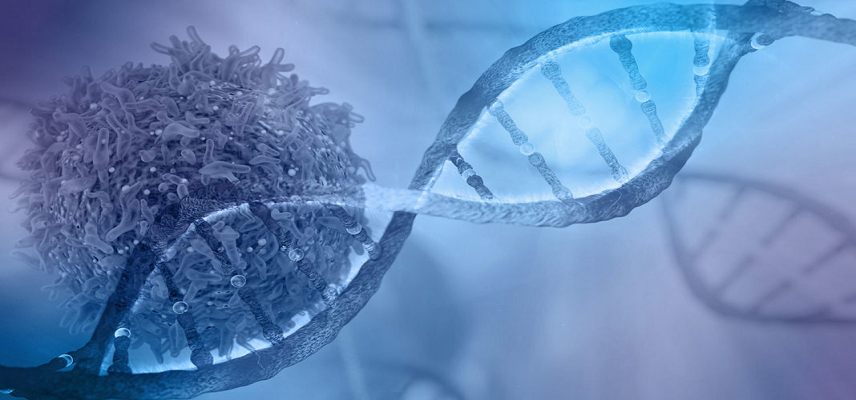 Medgenome Partners with Twist Teams in India to Diagnose Rare Disease