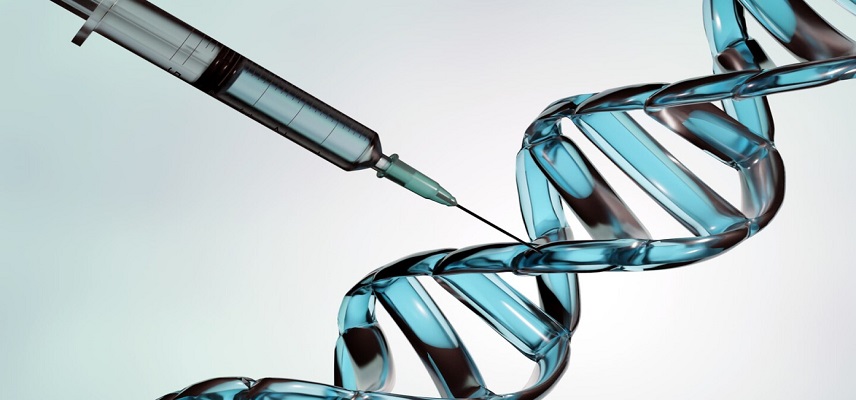 Theriva Announces Positive Outcome Of DSMC Review in Phase 1b/2a Trial of Ribaxamase