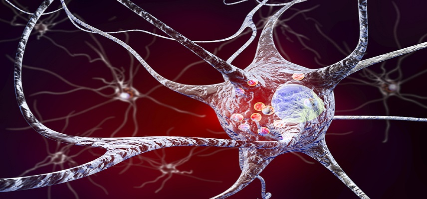 AbbVie Shares Promising Late-Stage Results for Parkinson’s Disease Candidate Tavapadon