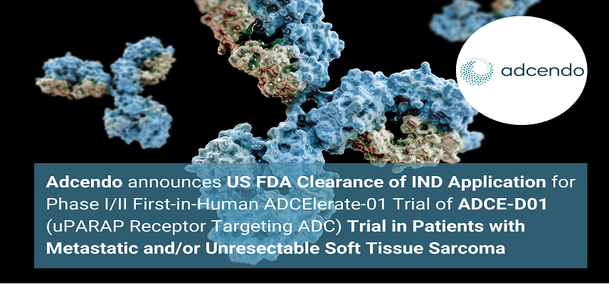 Adcendo Gets US FDA Clearance to Begin ADCElerate-01 Phase I/II trial of ADCE-D01