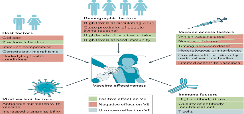 Clover Begins Patient Dosing In Phase 3 Trial Of Scb 2019 As Heterologous Covid-19 Booster Following Prior Vaccination With Inactivated Mrna Or Viral Vector Vaccines
