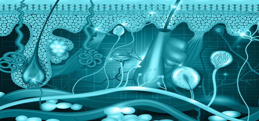 Cnd Life Sciences Receives Third Nih Sbir Grant To Study Syn-One Test In Patients Diagnosed With Rem Sleep Behaviour Disorder