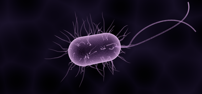 BioVersys Joins EU-funded RespiriNTM Programme For Its Broad-Spectrum Drug Candidates