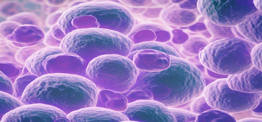 Roche Seeks FDA Nod for Columvi Combo in Relapsed DLBCL Treatment