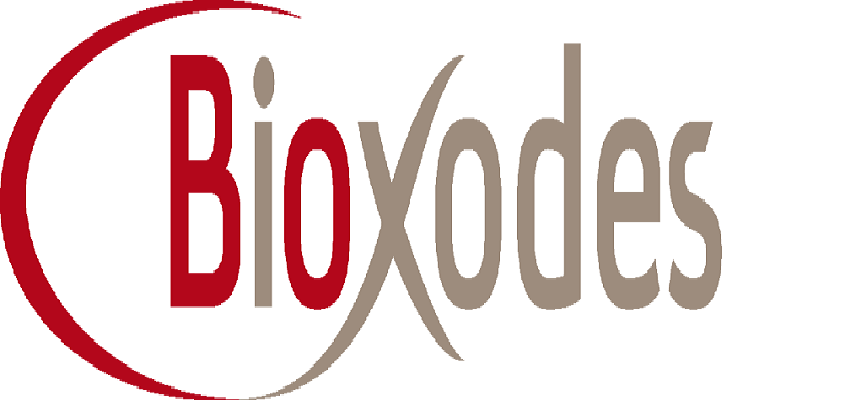 Bioxodes Begins Phase 2a Trial of BIOX-101 for Intracerebral Stroke Treatment