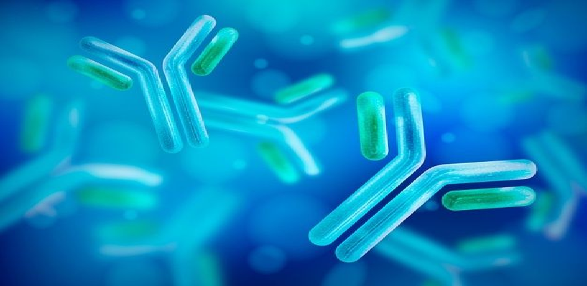 AGC Biologics, Novelty Nobility Par..