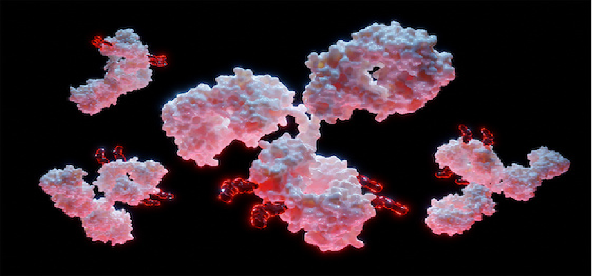Astellas licenses ADC XNW27011 from..