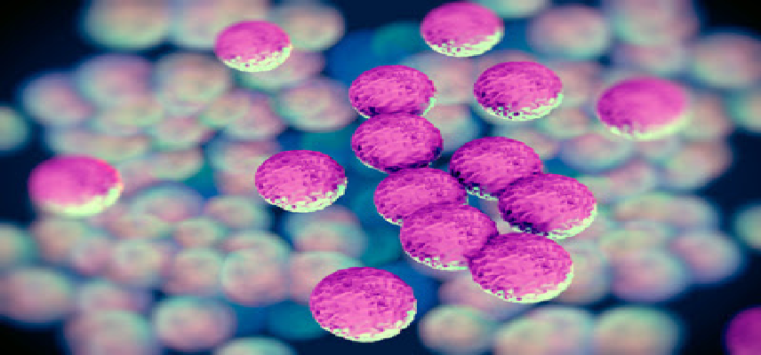 Nosopharm brings antibiotic one ste..