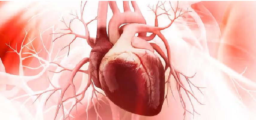 Rocket Pharma gets FDA regenerative medicine advan...