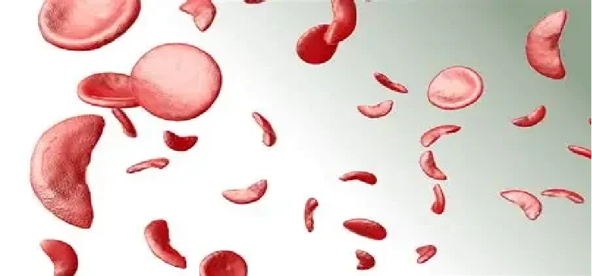 Hillhurst Biopharmaceuticals Doses..