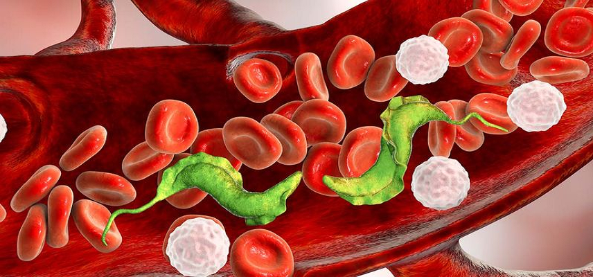 AN2 Therapeutics Hits First Milesto..