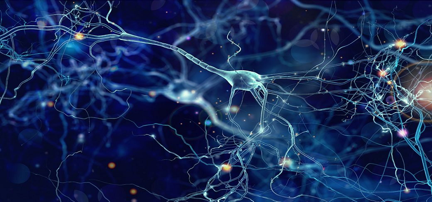 A Glimpse of Hope in ALS: What RADICAVA ORS Could...