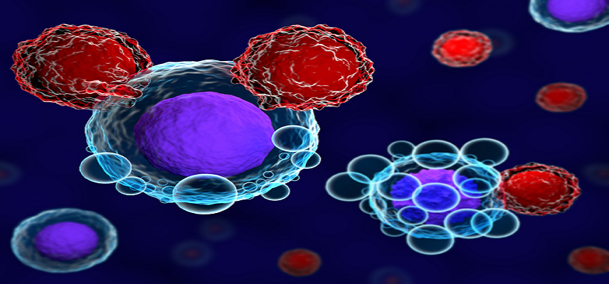 MagicRNA Publishes First Clinical D..