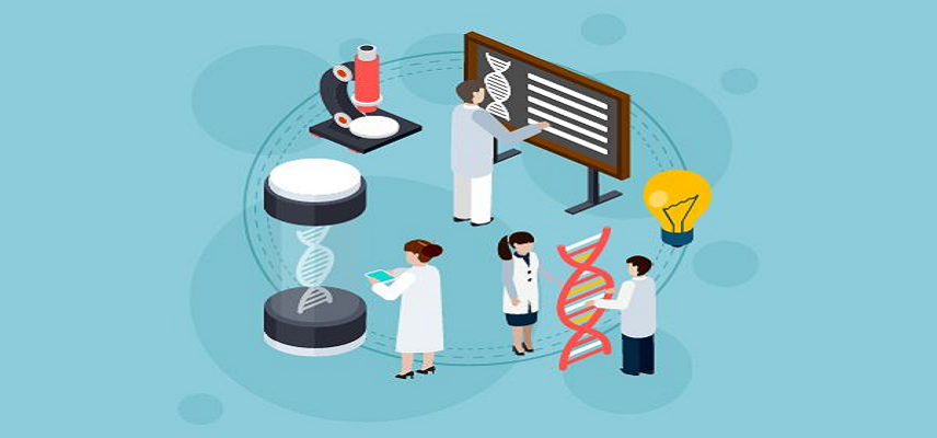 MapLight Launches Phase 2 Study of..