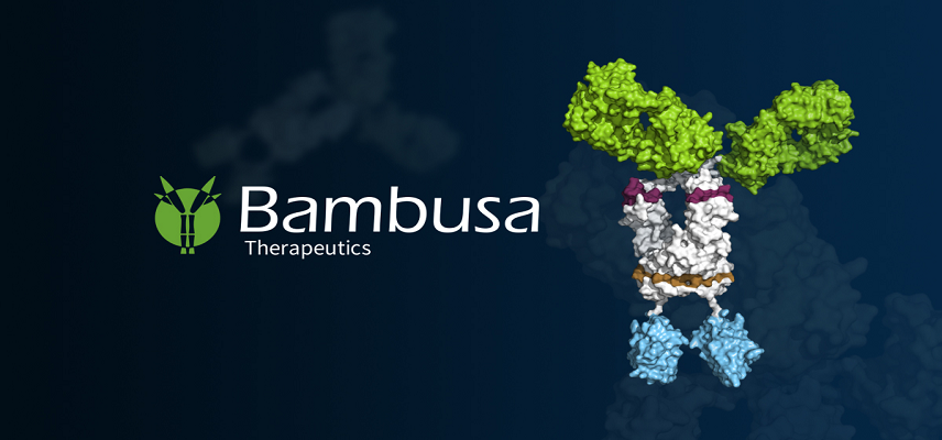 Bambusa Therapeutics Hits Two Major..