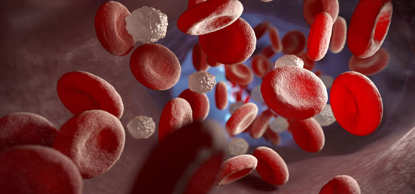 VarmX Receives Rare Phase 1 Waiver..