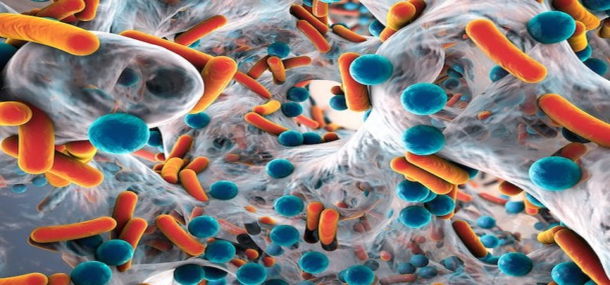 Basilea Secures BARDA Support for N..