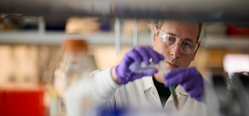 Eli Lilly Reports Positive Data on Omvoh in Ulcera...