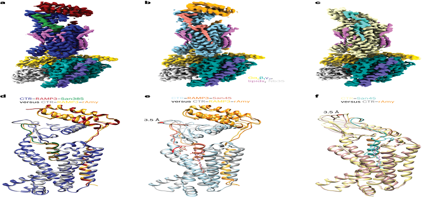 Ascletis Selects ASC36 as Once-Mont..