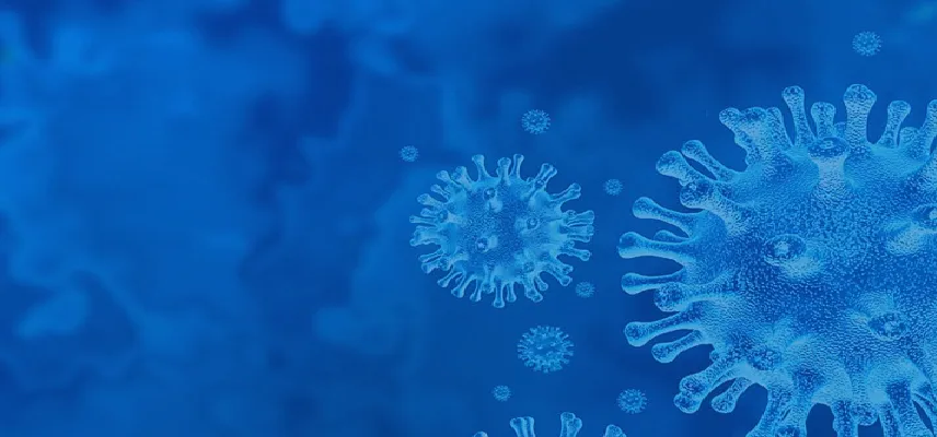 ChemDiv Extends CMC Collaboration f..